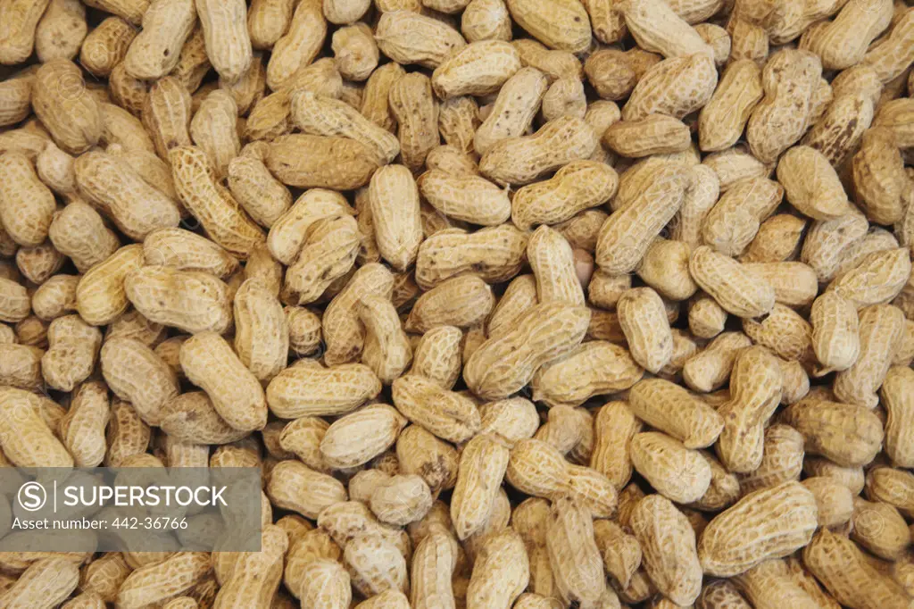 Close-up of peanuts, Sheung Wan, Hong Kong, China