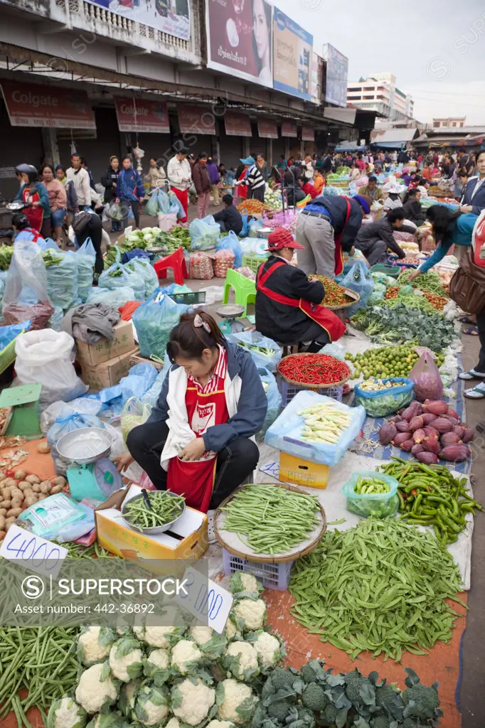 Women selling vegetables at morning market, Talat Sao, Vientiane, Laos