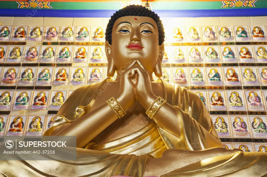 Buddha statue in a monastery, Western Monastery, Tsuen Wan, Hong Kong, China