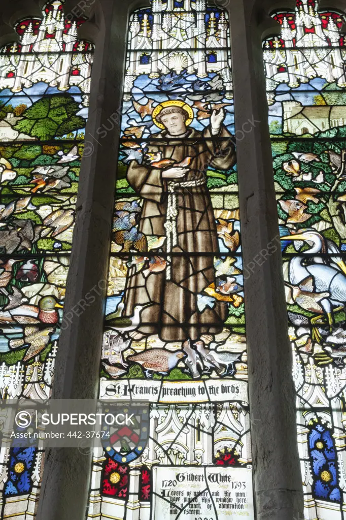 UK, England, Hampshire, Selborne, St.Mary The Virgin Church, Stained Glass Window dedicated to Gilbert White depicting St.Francis Preaching to the Birds
