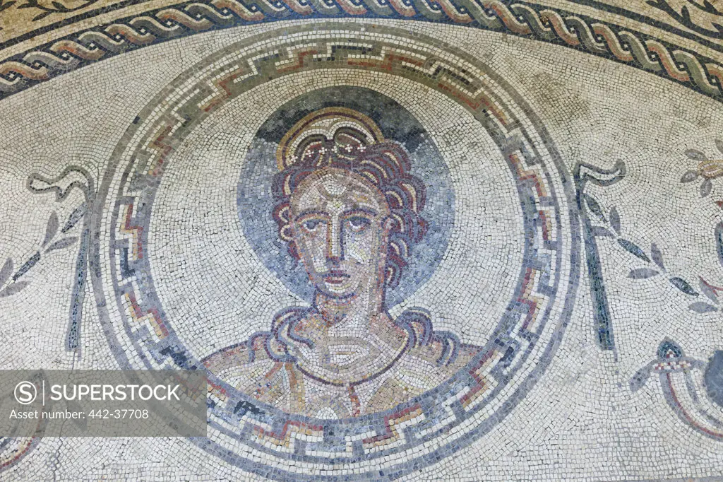UK, England, West Sussex, Bignor, Bignor Roman Villa, The Venus Room, Mosaic depicting Venus