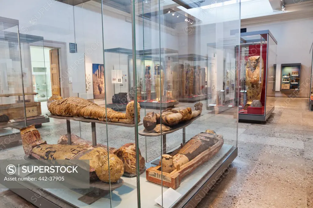 UK, England, London, British Museum, Egyptian Room, Display of Egyptian Mummies