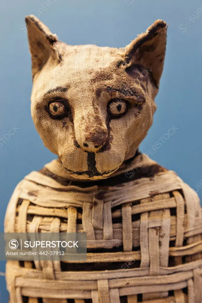 UK, England, London, British Museum, Egyptian Room, Display of Egyptian Mummified Cat