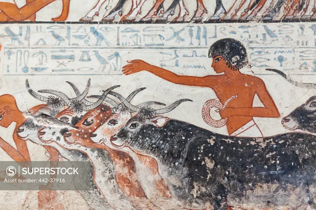 UK, England, London, British Museum, Egyptian Room, Tomb Chapel of Nebamun, Painting of Young Boy Herding Cattle