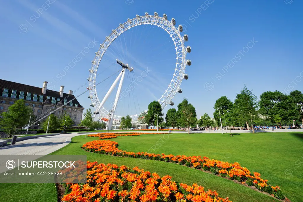 UK, London, Jubilee Gardens, London Eye