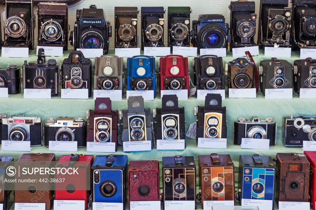 UK, England, Dorset, Blanford, The Great Dorset Steam Fair, Exhibitors Display of Vintage Cameras