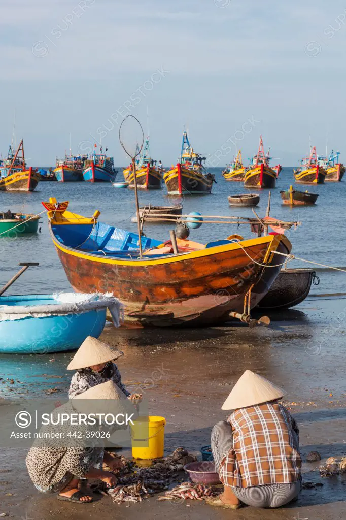 Vietnam, Mui Ne, Mui Ne Beach, Women Sorting Fishing Catch
