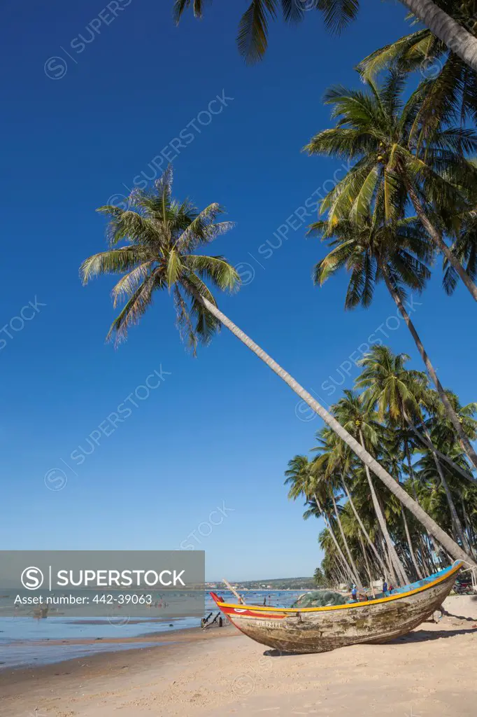 Vietnam, Mui Ne, Mui Ne Beach, Fishing Boat and Palm Trees