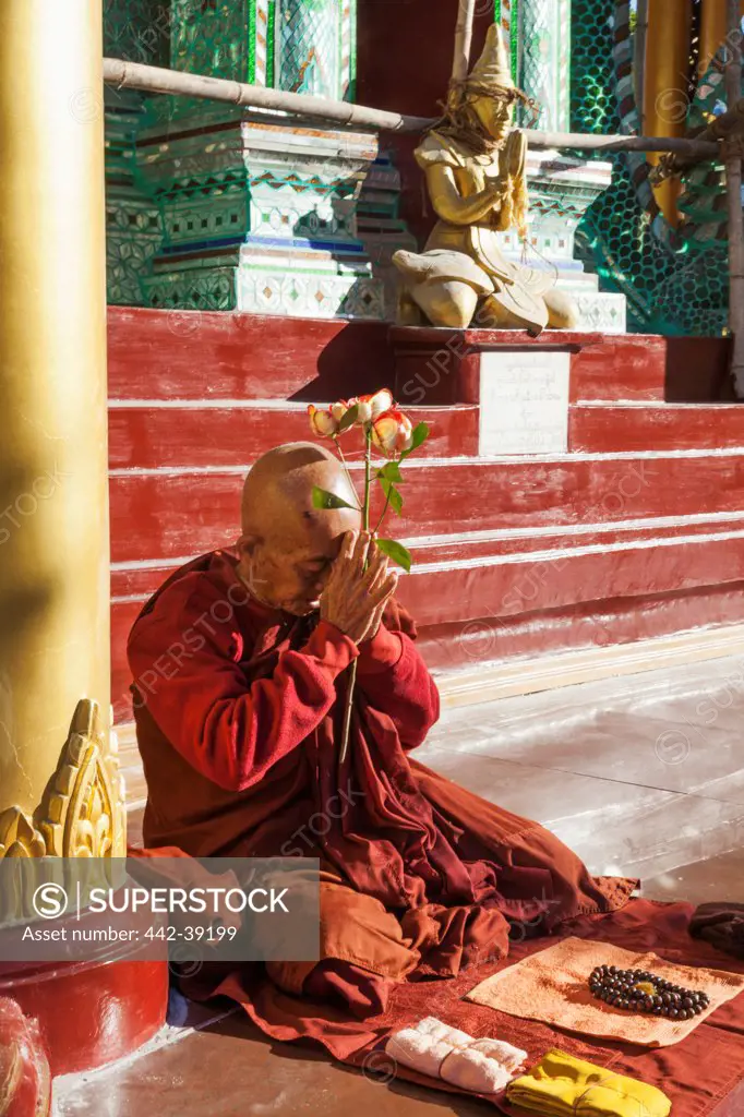 Monk praying in a temple, Shwedagon Pagoda, Yangon, Myanmar