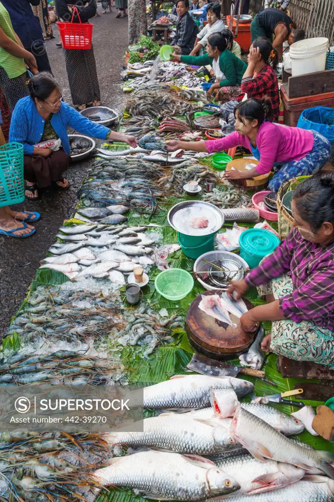 Vendors selling fish and seafood at street market, Yangon, Myanmar