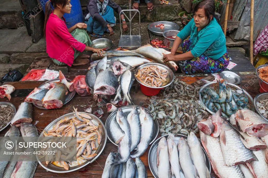 Woman selling fish and seafood at street market, Yangon, Myanmar