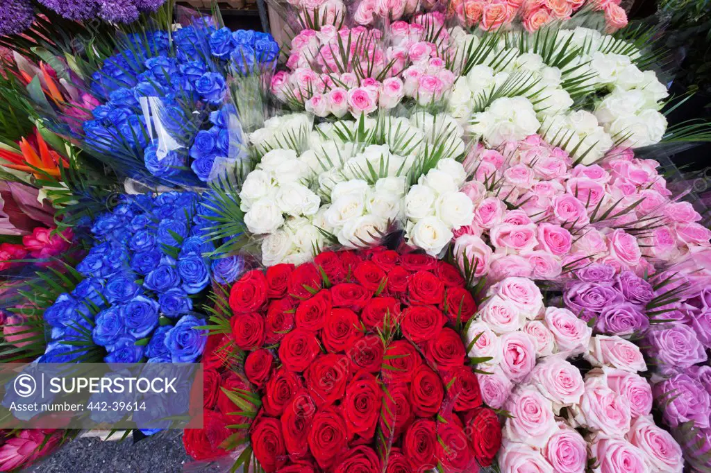 UK, England, London, Columbia Road Flower Market, Roses for sale