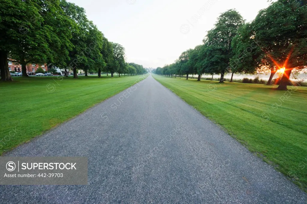 UK, England, Berkshire, Windsor, Windsor Castle, Road among trees