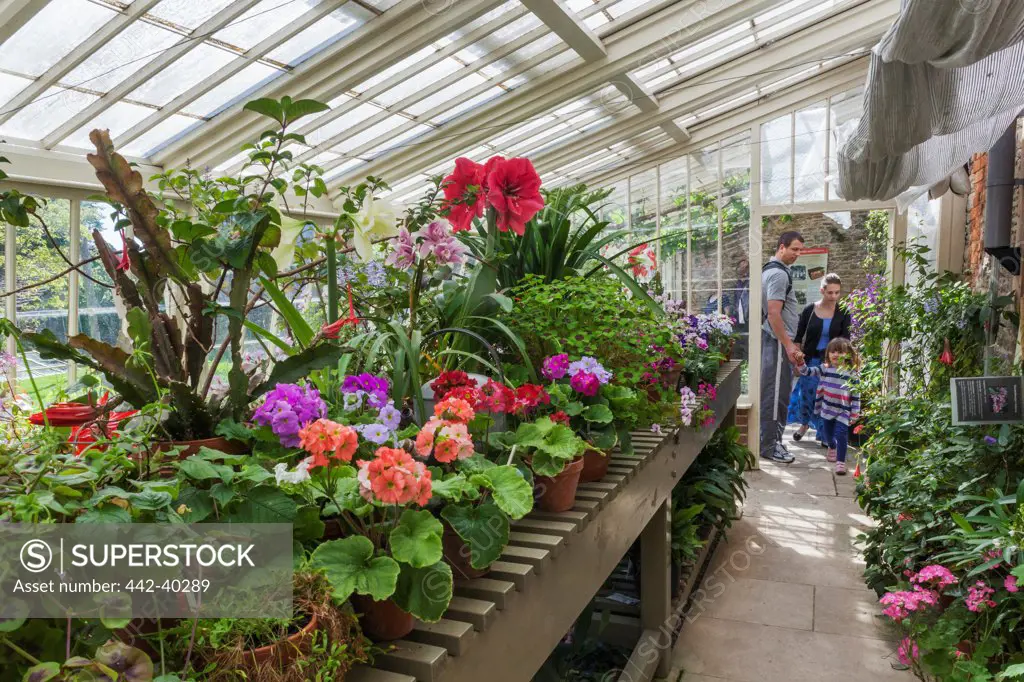 UK, England, Somerset, Lacock, Lacock Abbey, Botanical Garden, Family visiting the Glass House