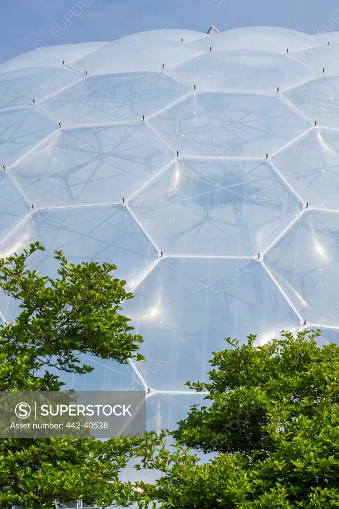 Details of plastic biome shell, Eden Project, St. Austell, Cornwall, England