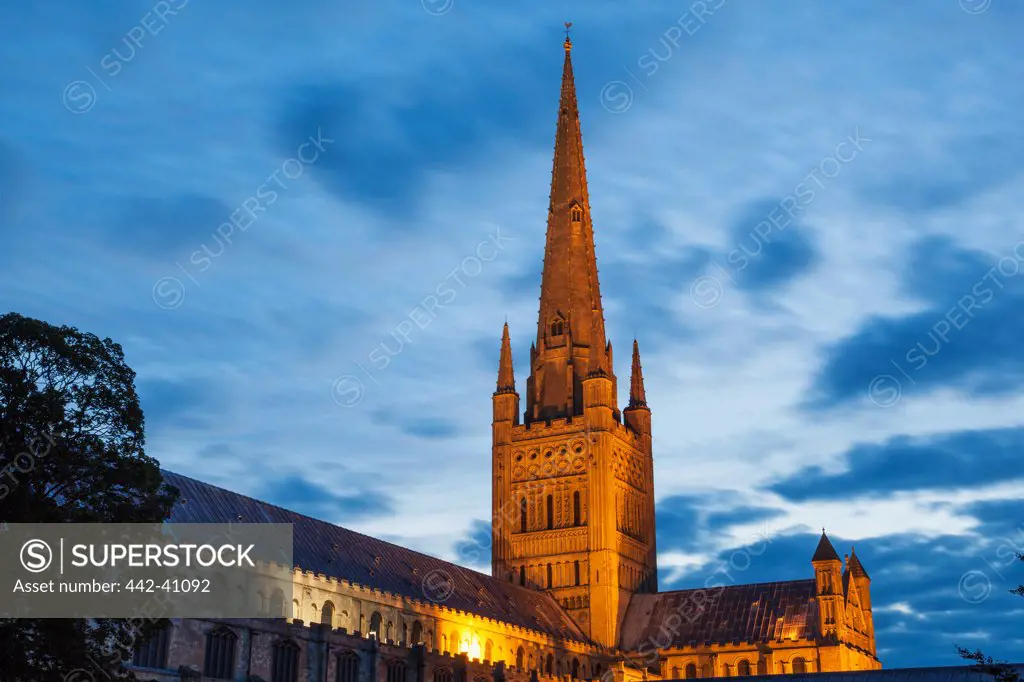 Low angle view of a cathedral, Norwich Cathedral, Norwich, Norfolk, East Anglia, England
