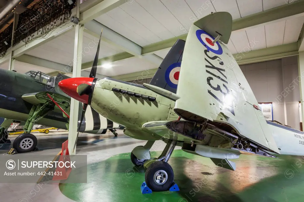 Supermarine Seafire F17 aircraft on a display in a museum, Fleet Air Arm Museum, Royal Naval Air Station Yeovilton, Yeovil, Somerset, England