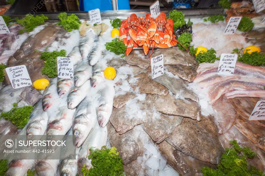 Fish stall display, Borough Market, Southwark, London, England