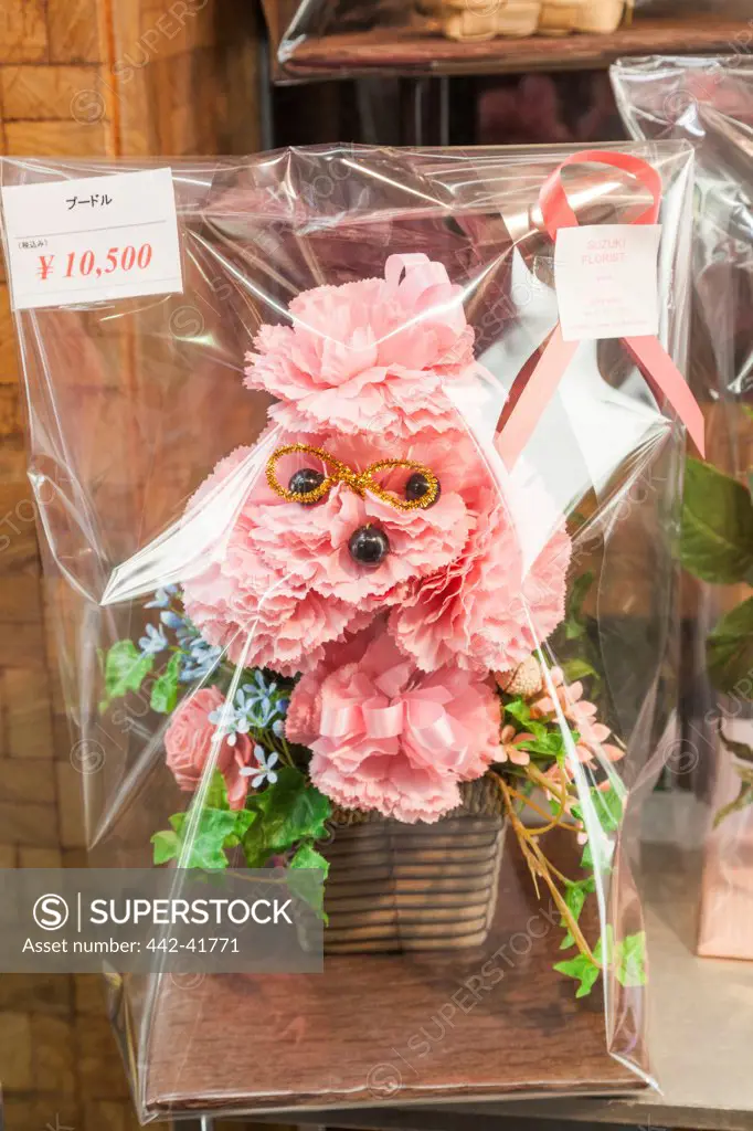 Japan, Honshu, Kanto, Tokyo, Ginza, Flower Shop, Poodle Shaped Plastic Flowers Display