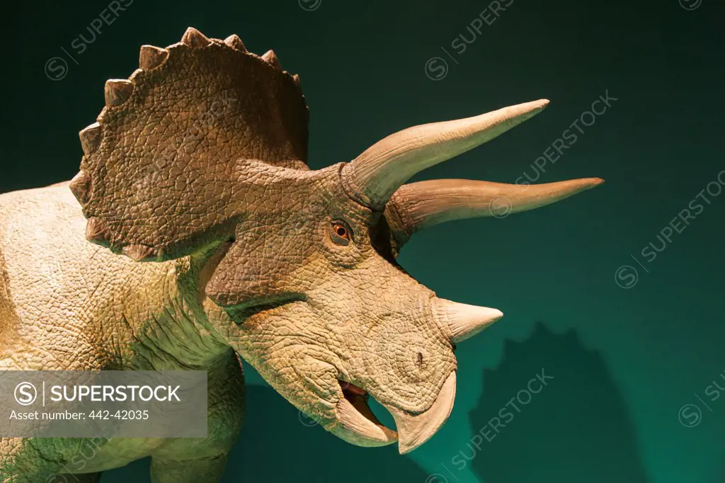 China, Animatronic Model of Triceratops