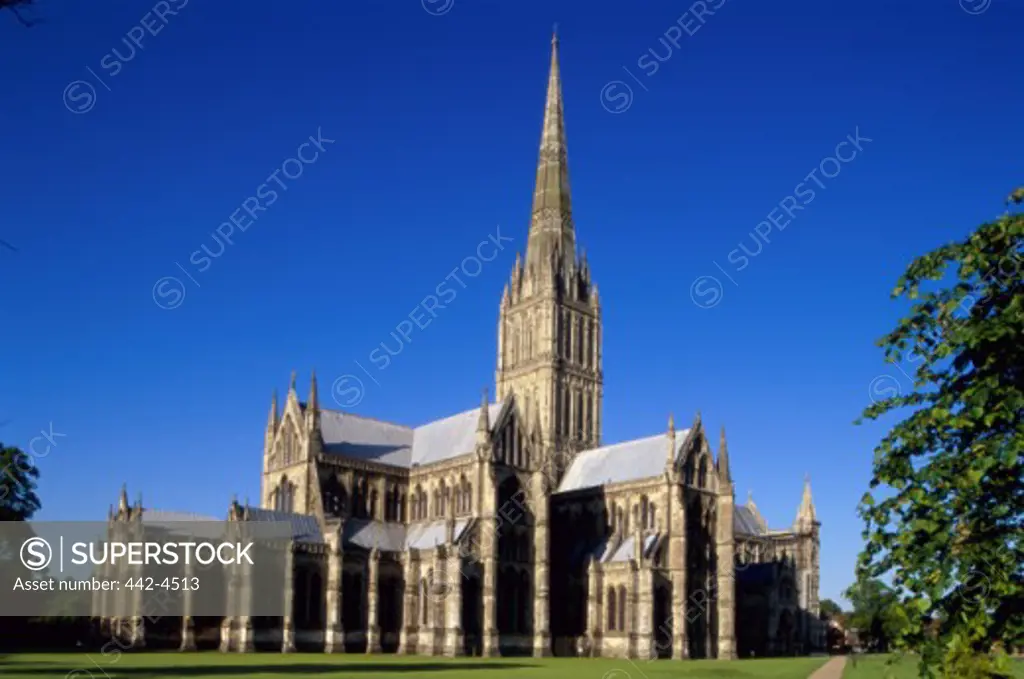 Low angle view of a cathedral, Salisbury Cathedral, Salisbury, Wiltshire, England