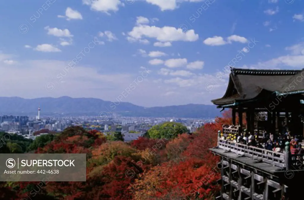 High section view of a temple, Kiyomizudera Temple, Kyoto, Japan