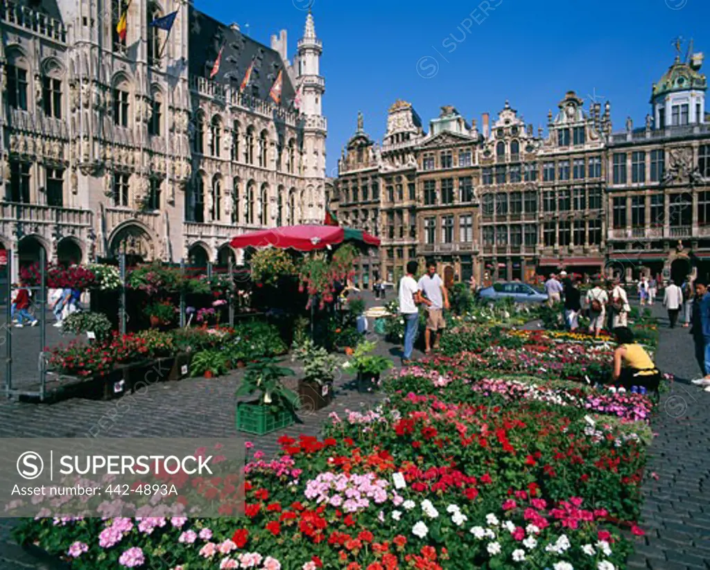 Tourists at a flower market, Grand Place, Brussels, Belgium