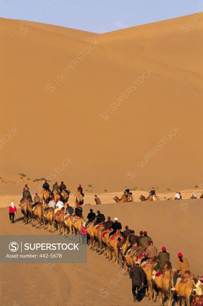 Camel train in the desert, Mount Mingshan, Dunhuang, China