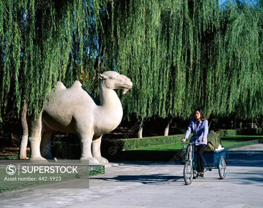Stone camel statue, Ming Tombs, Sacred Way, Beijing, China