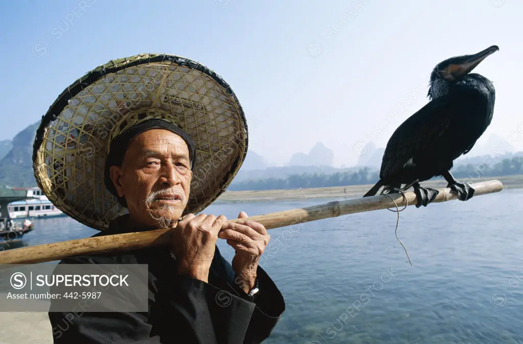 Cormorant fisherman with a bird on a pole, Li River, Guilin, Yangshou, China