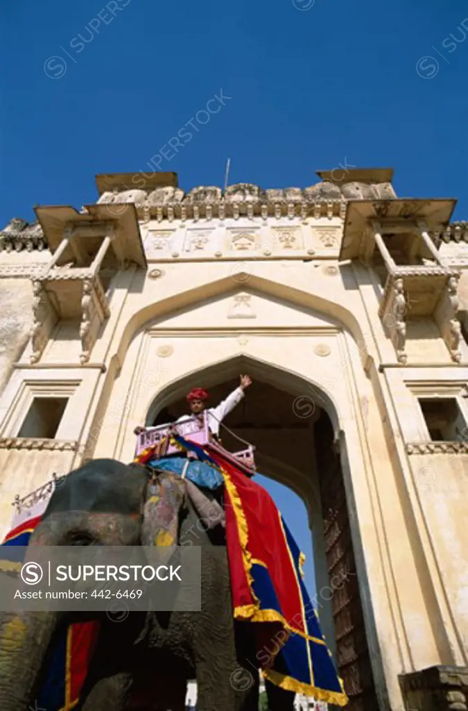 Low angle view of elephants at the elephant festival, Amber Fort, Jaipur, Rajasthan, India