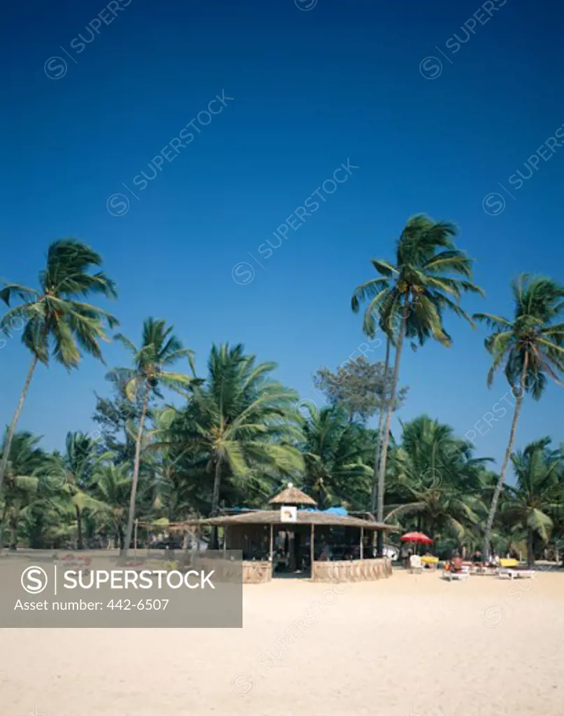 Beach hut on a beach, Colva Beach, Goa, India