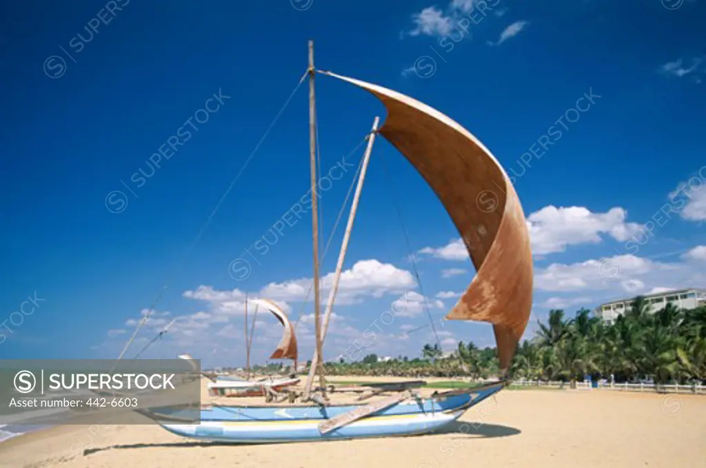 Traditional outrigger fishing boat on the beach, Negombo Beach, Negombo, Sri Lanka