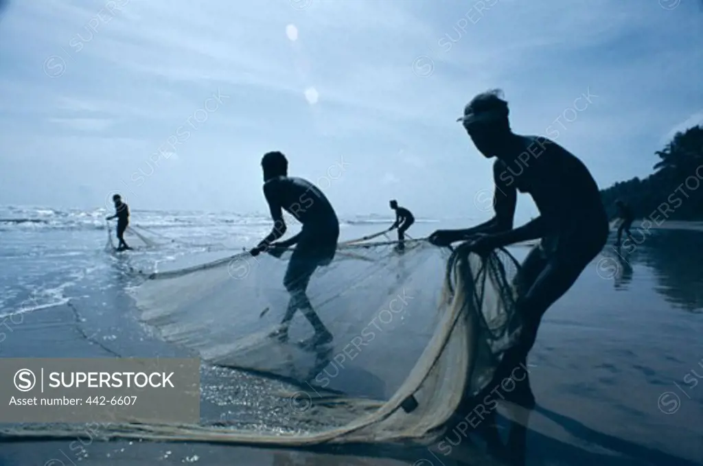 Fishermen pulling in fishing nets, Negombo Beach, Negombo, Sri Lanka