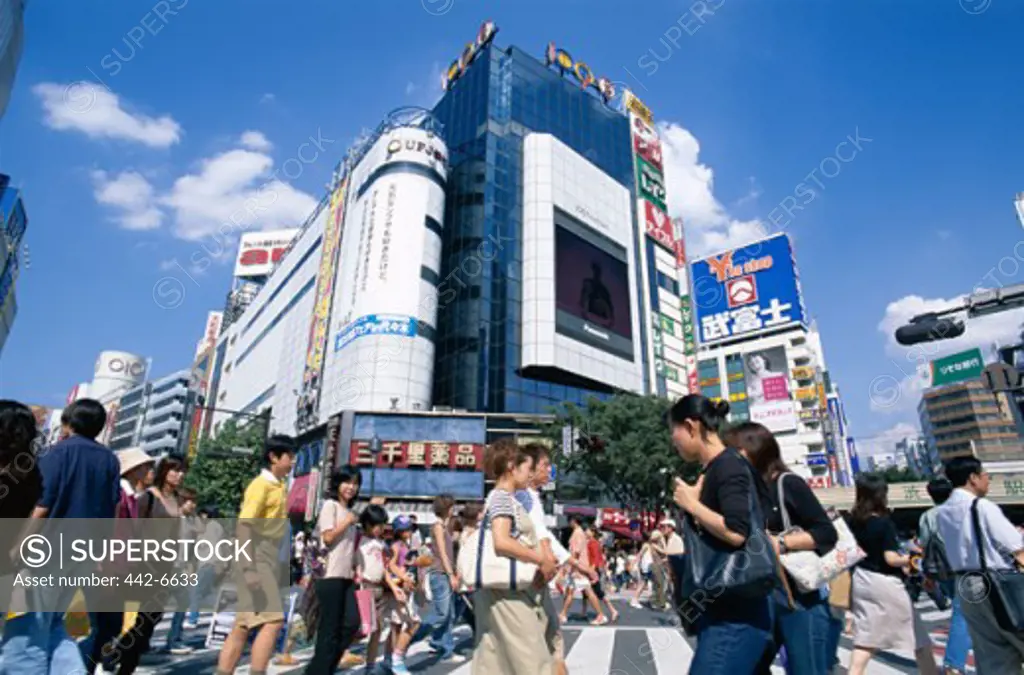 People walking at a crosswalk, Shibuya, Tokyo, Honshu, Japan