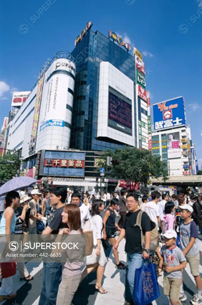 Large group of people walking at a crosswalk, Shibuya, Tokyo, Honshu, Japan