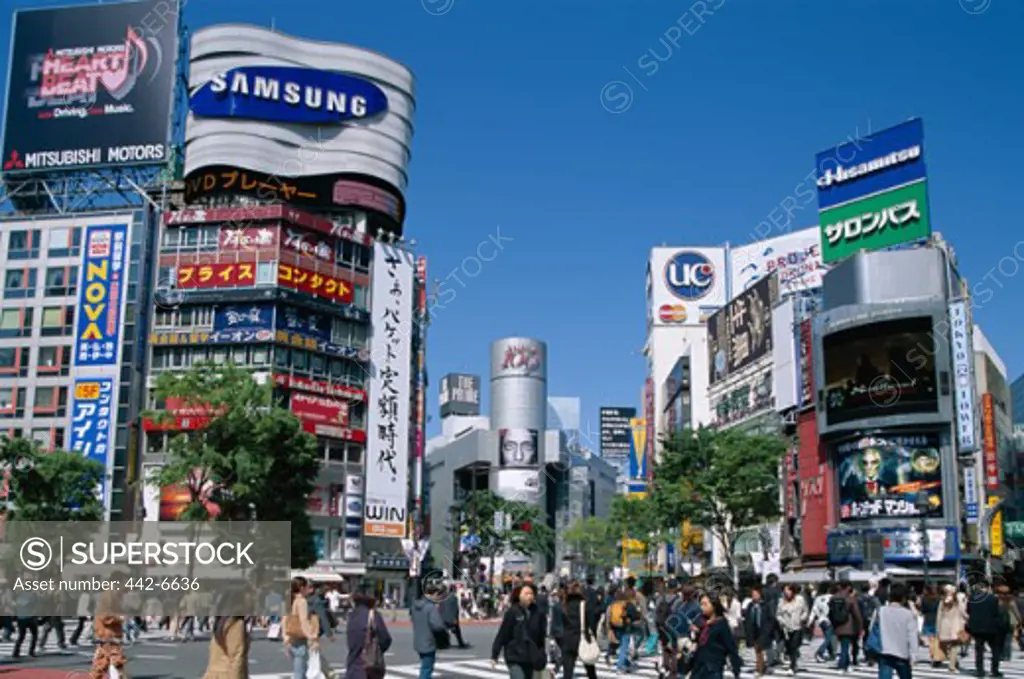 People walking at a crosswalk, Shibuya, Tokyo, Honshu, Japan