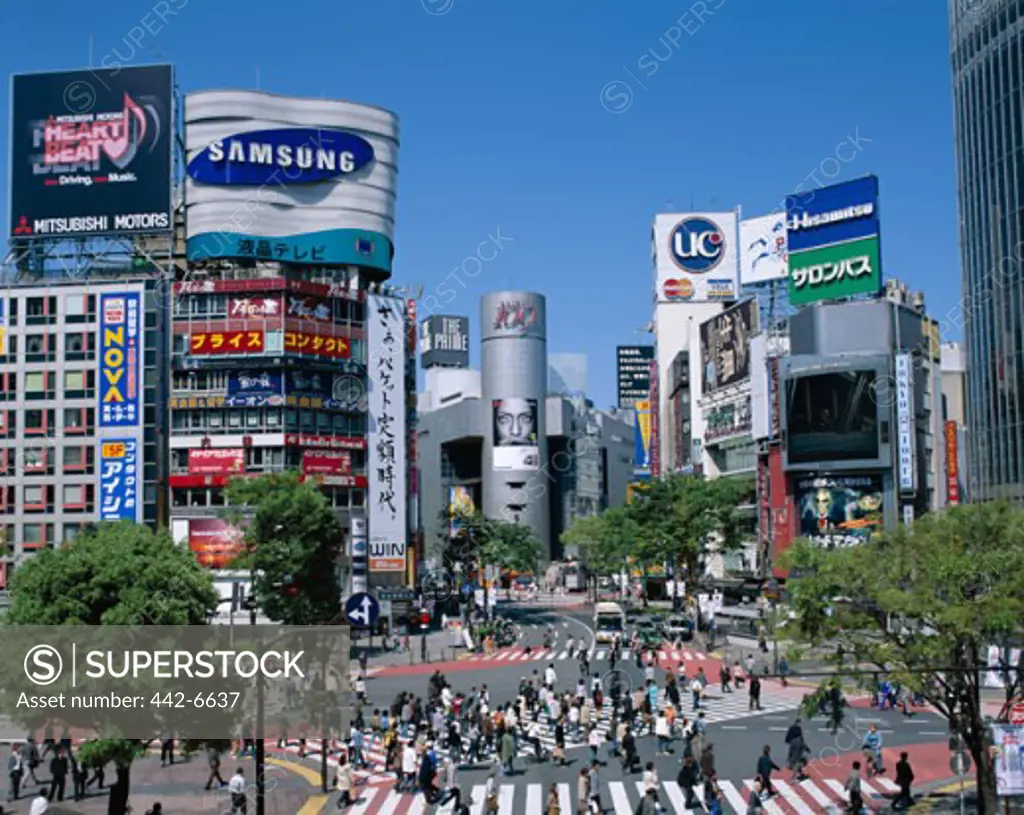 High angle view of people walking at a crosswalk, Shibuya, Tokyo, Honshu, Japan