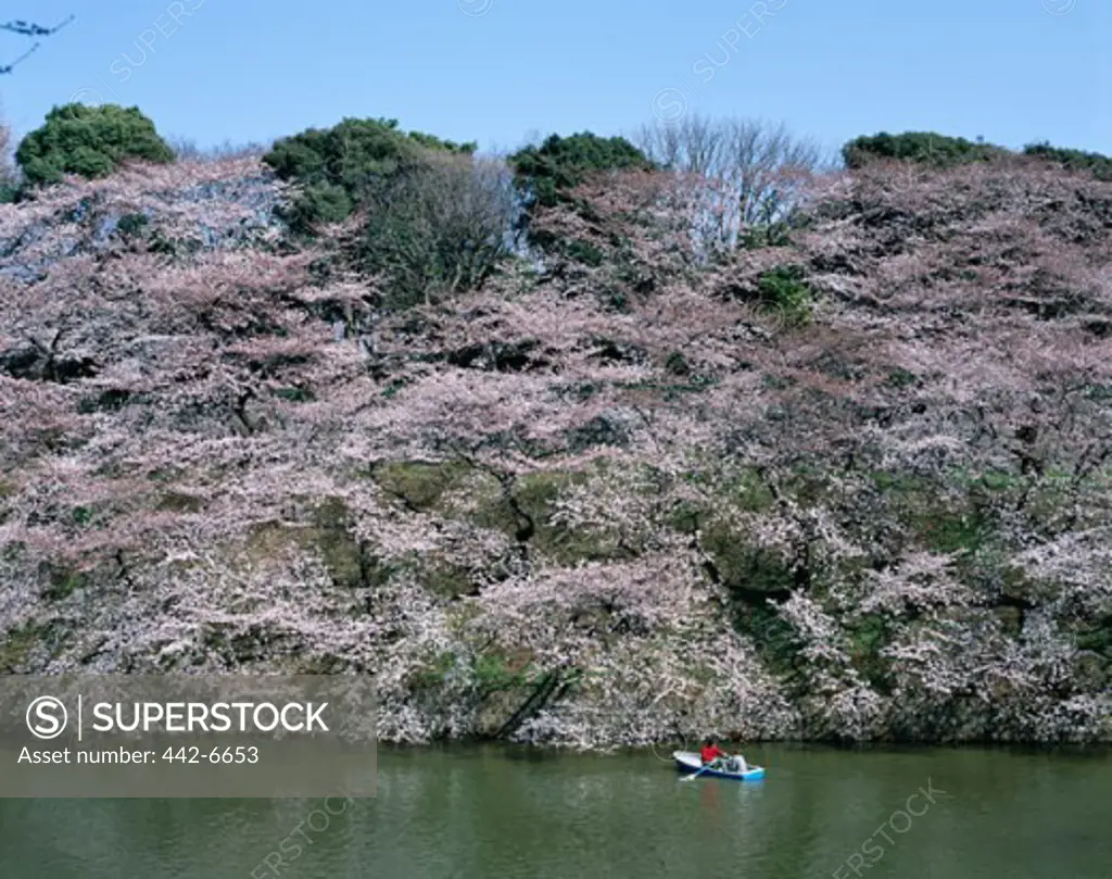 People in a rowboat, Imperial Palace, Chidorigafuchi Park, Tokyo, Honshu, Japan
