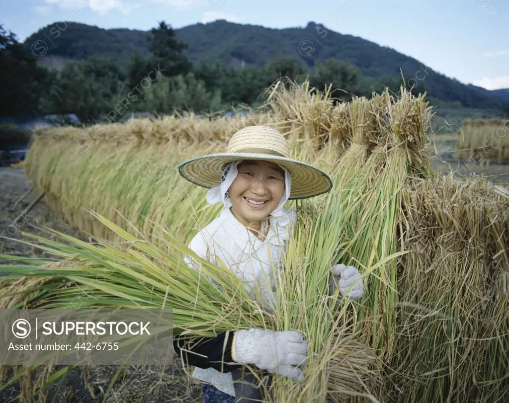 Portrait of a mid adult woman harvesting rice, Yamanashi, Honshu, Japan