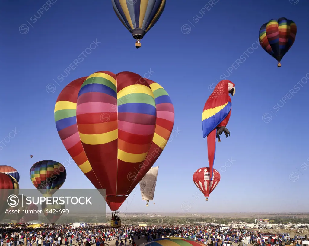 Hot air balloons taking off, Albuquerque International Balloon Fiesta, Albuquerque, New Mexico, USA