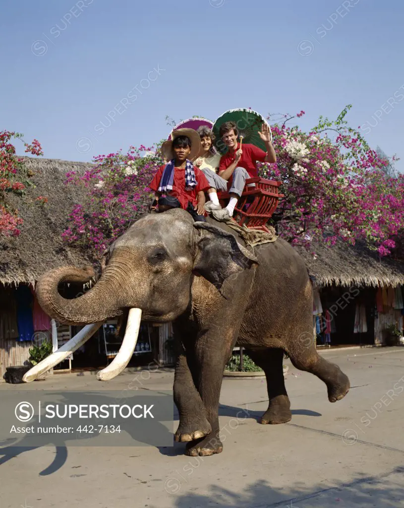 Portrait of a couple riding an elephant, Rose Garden, Bangkok, Thailand