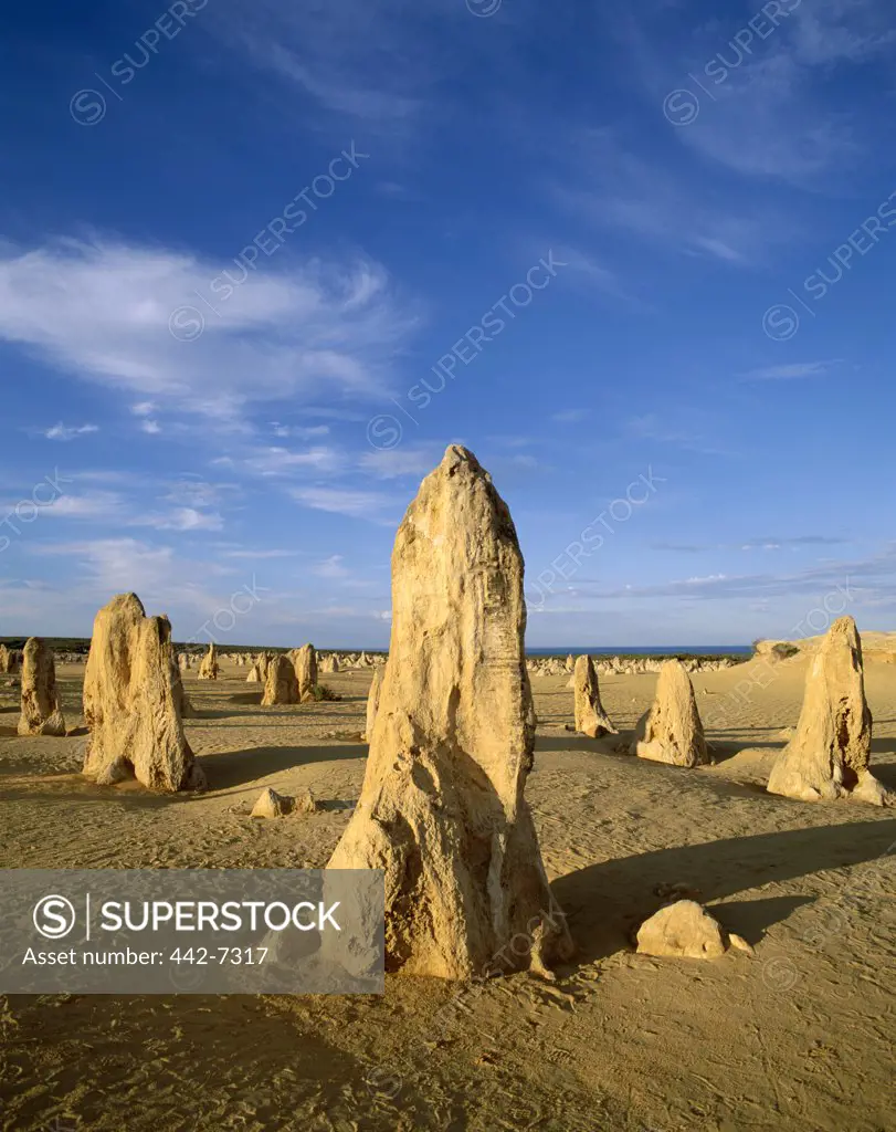 Rock formations in the desert, The Pinnacles Desert, Nambung National Park, Australia