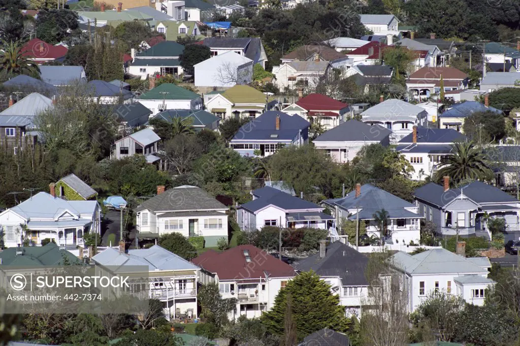 Typical Suburban Housing, Auckland, North Island, New Zealand