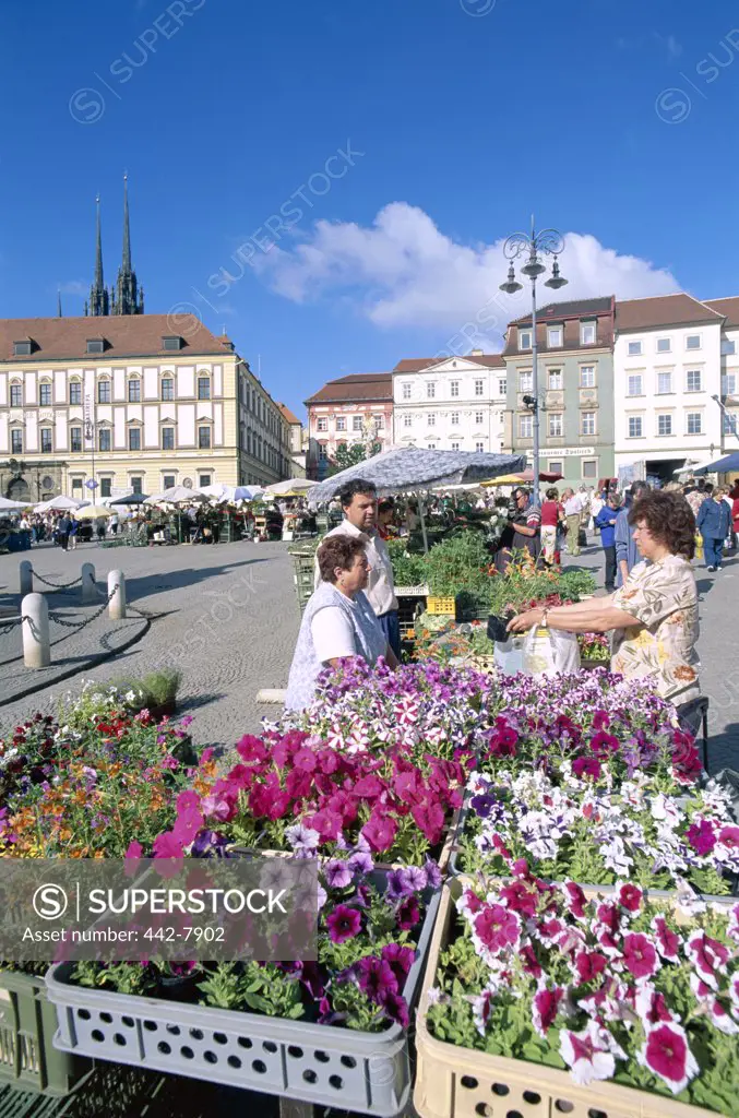 People at open-air market, Brno, South Moravia, Czech Republic