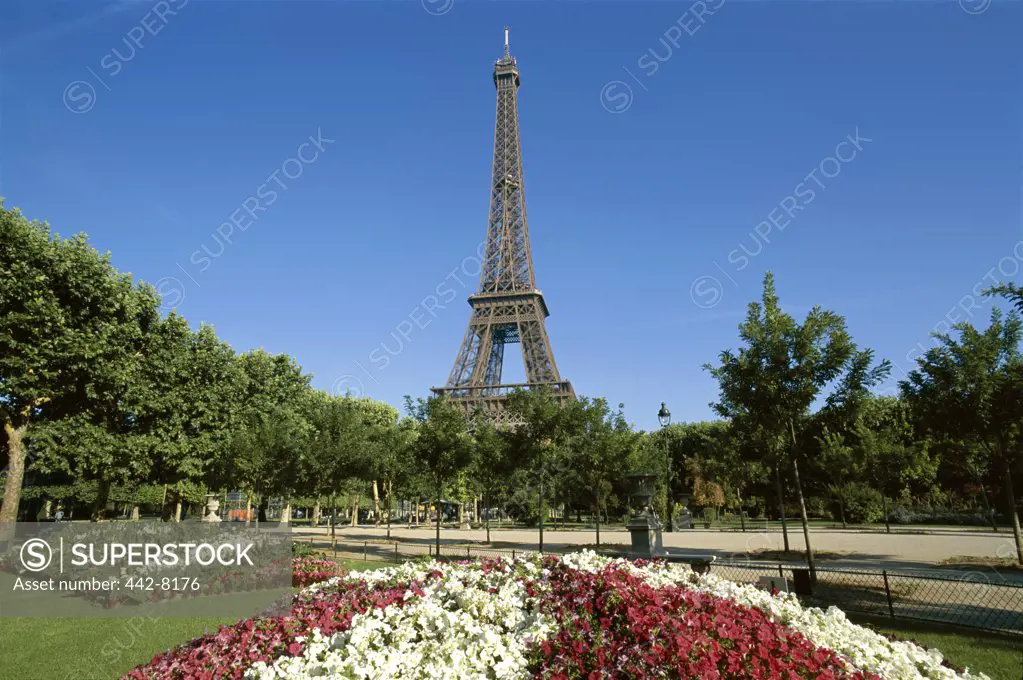 Low angle view of a bed of flowers in front of a tower, Eiffel Tower, Paris, France