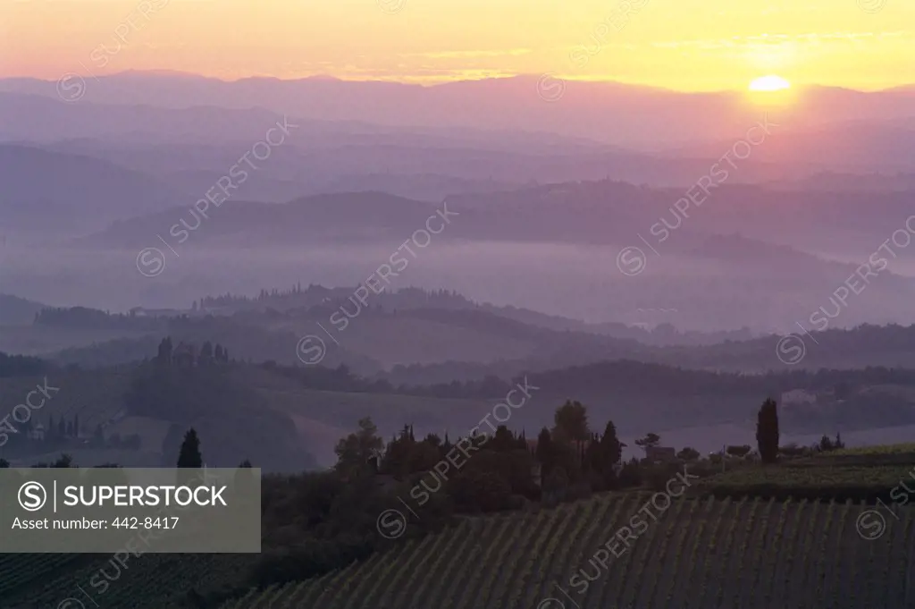 Dawn and Mist, Countryside View, San Gimignano, Tuscany, Italy