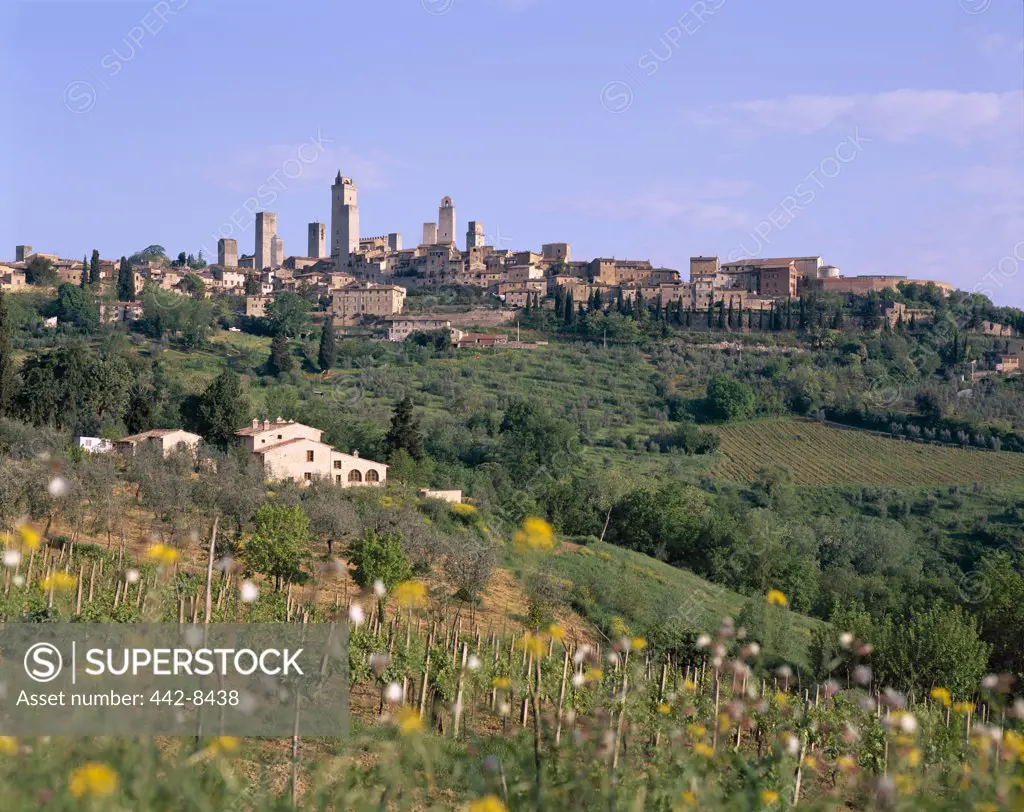 Vineyards and Medieval Town Skyline, San Gimignano, Tuscany, Italy