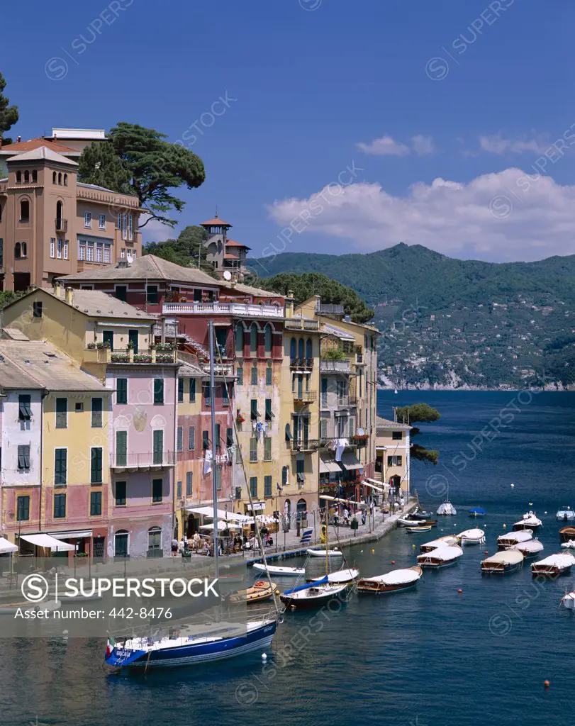 Village, Yachts and Harbor, Coastal View, Portofino, Liguria, Italy