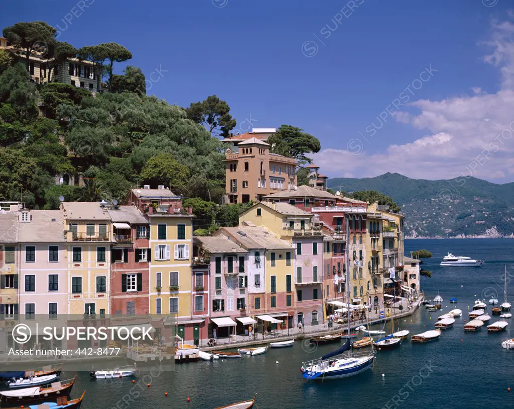 Village, Yachts and Harbor, Coastal View, Portofino, Liguria, Italy